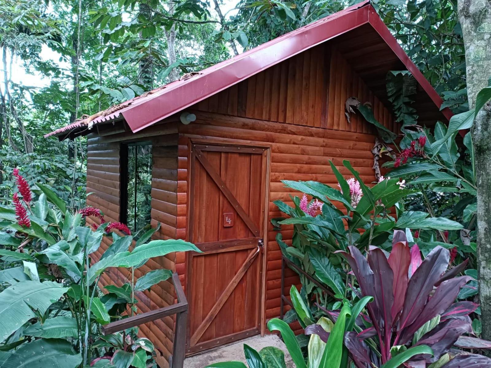 Arenal Rustic Lodge La Fortuna Esterno foto