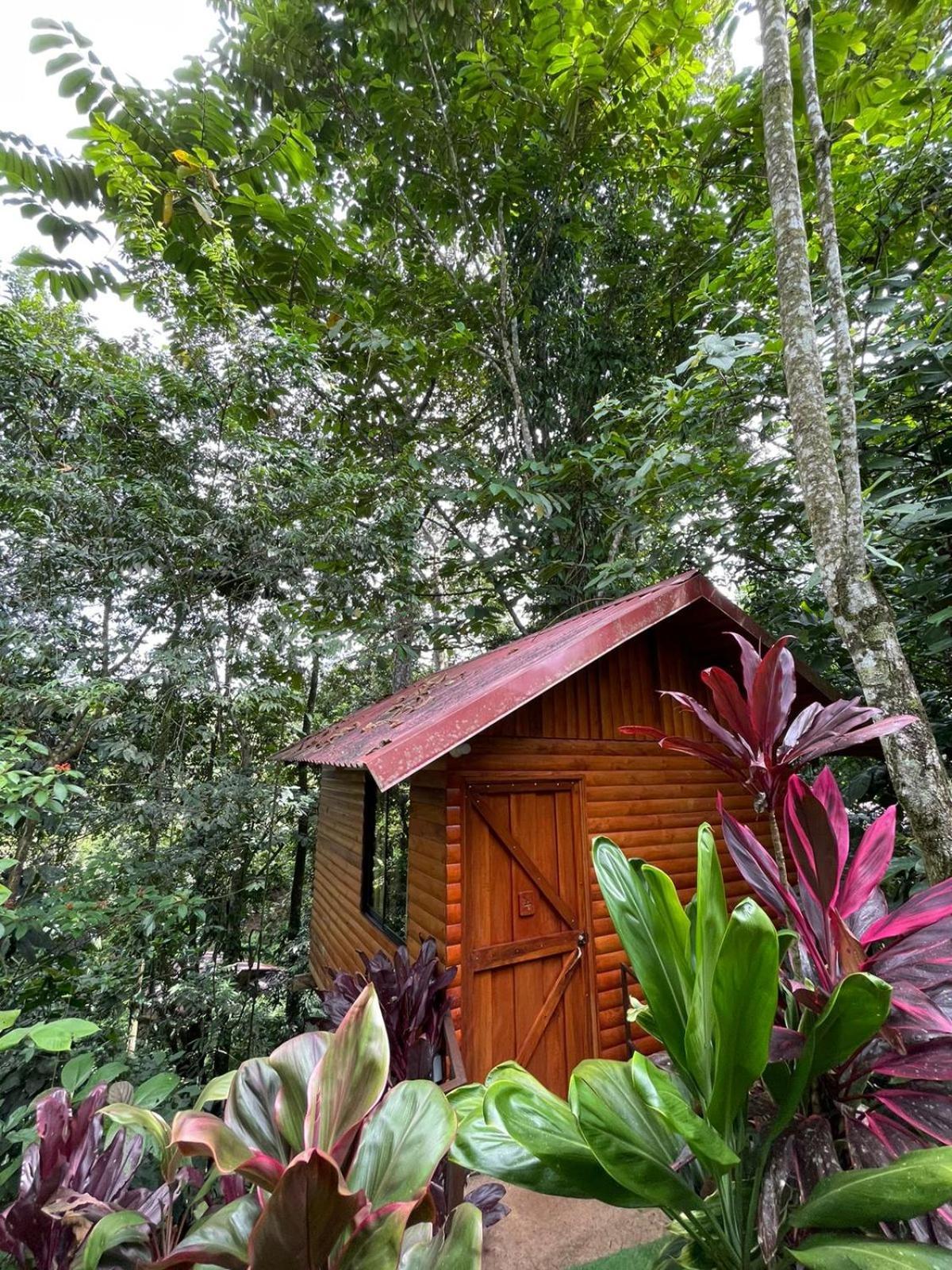 Arenal Rustic Lodge La Fortuna Esterno foto