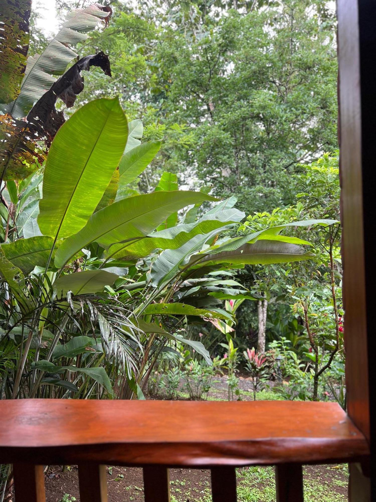 Arenal Rustic Lodge La Fortuna Esterno foto