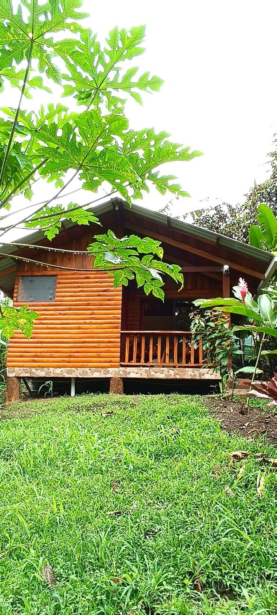 Arenal Rustic Lodge La Fortuna Esterno foto