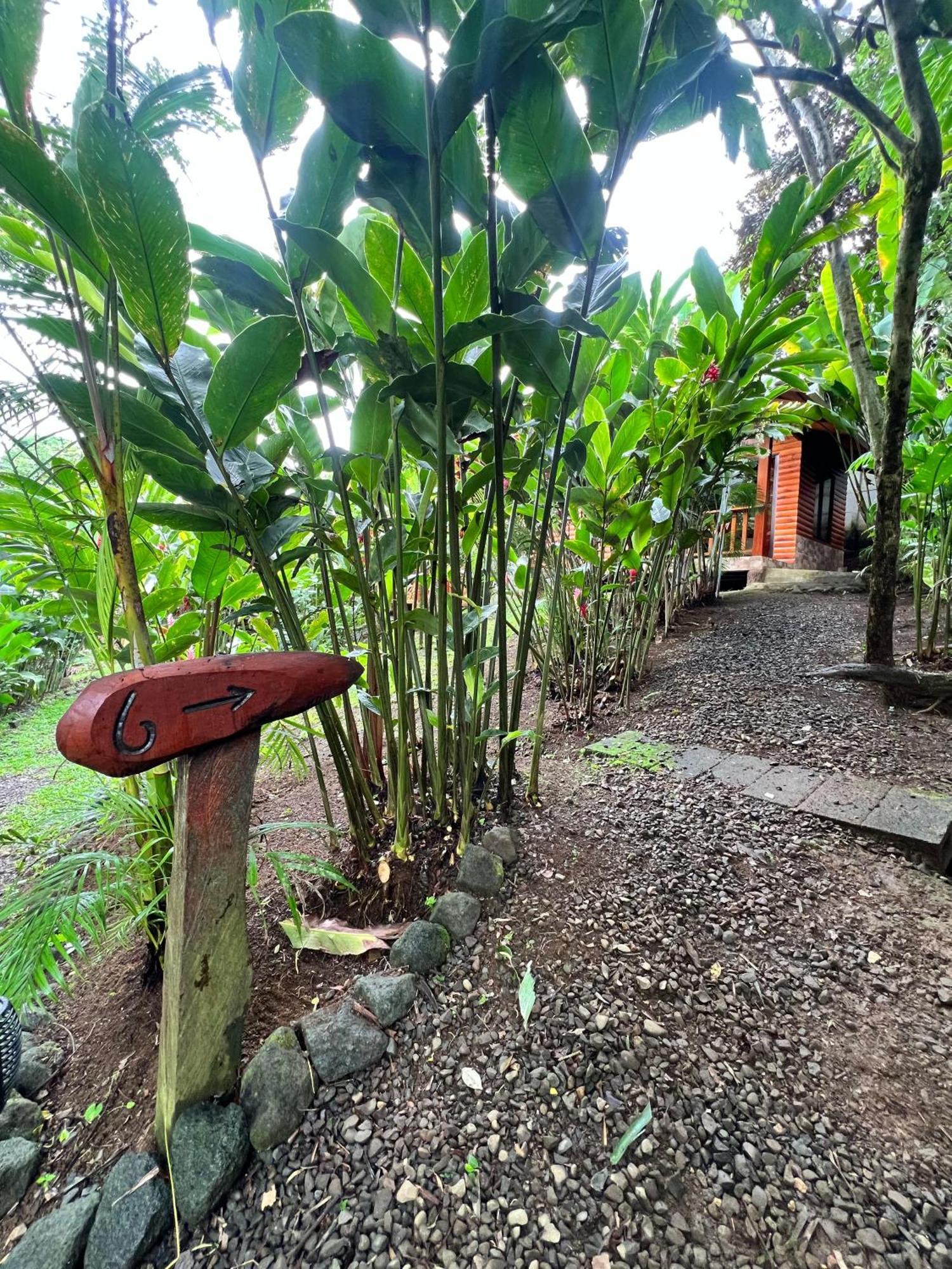 Arenal Rustic Lodge La Fortuna Esterno foto