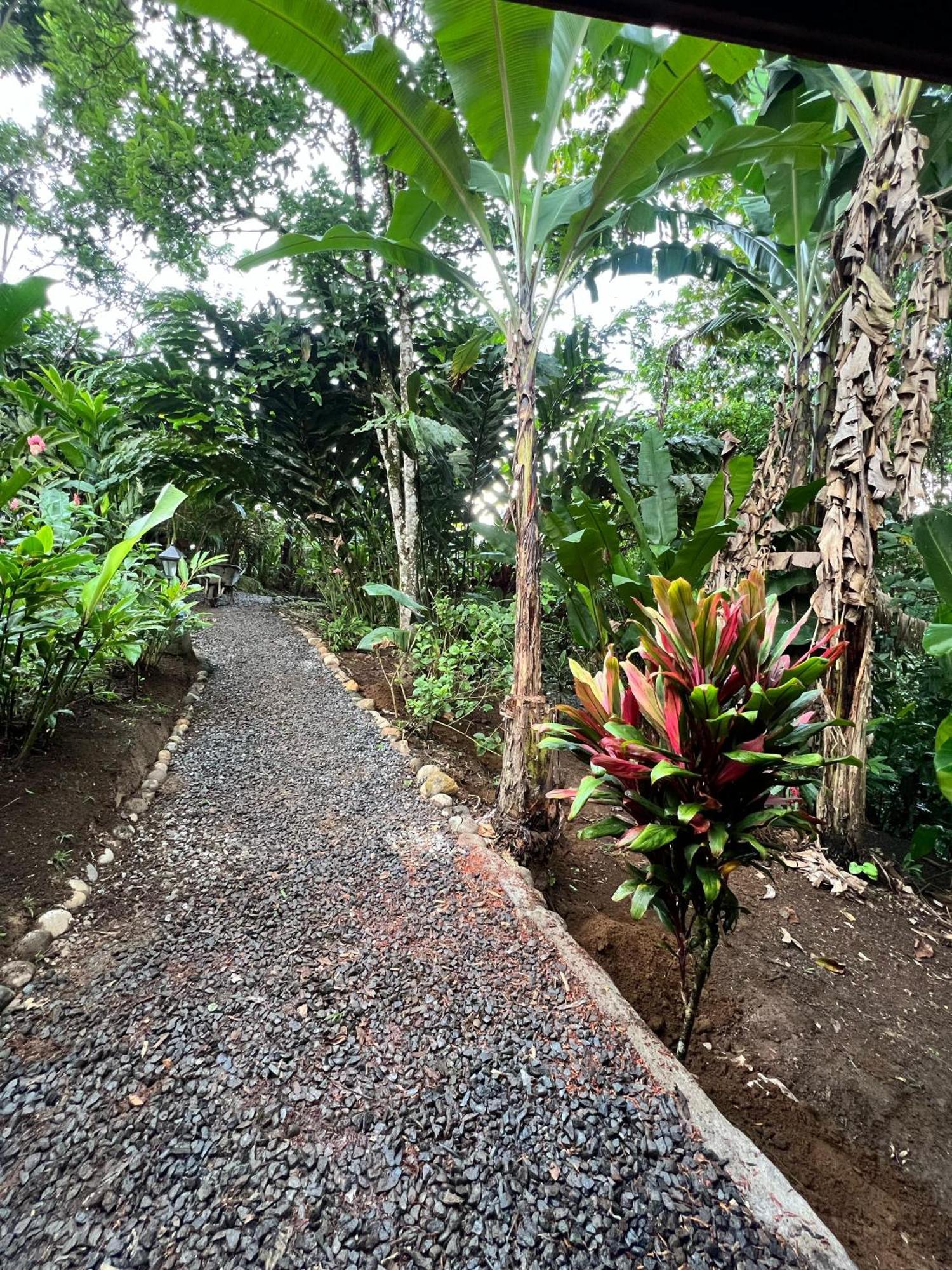 Arenal Rustic Lodge La Fortuna Esterno foto