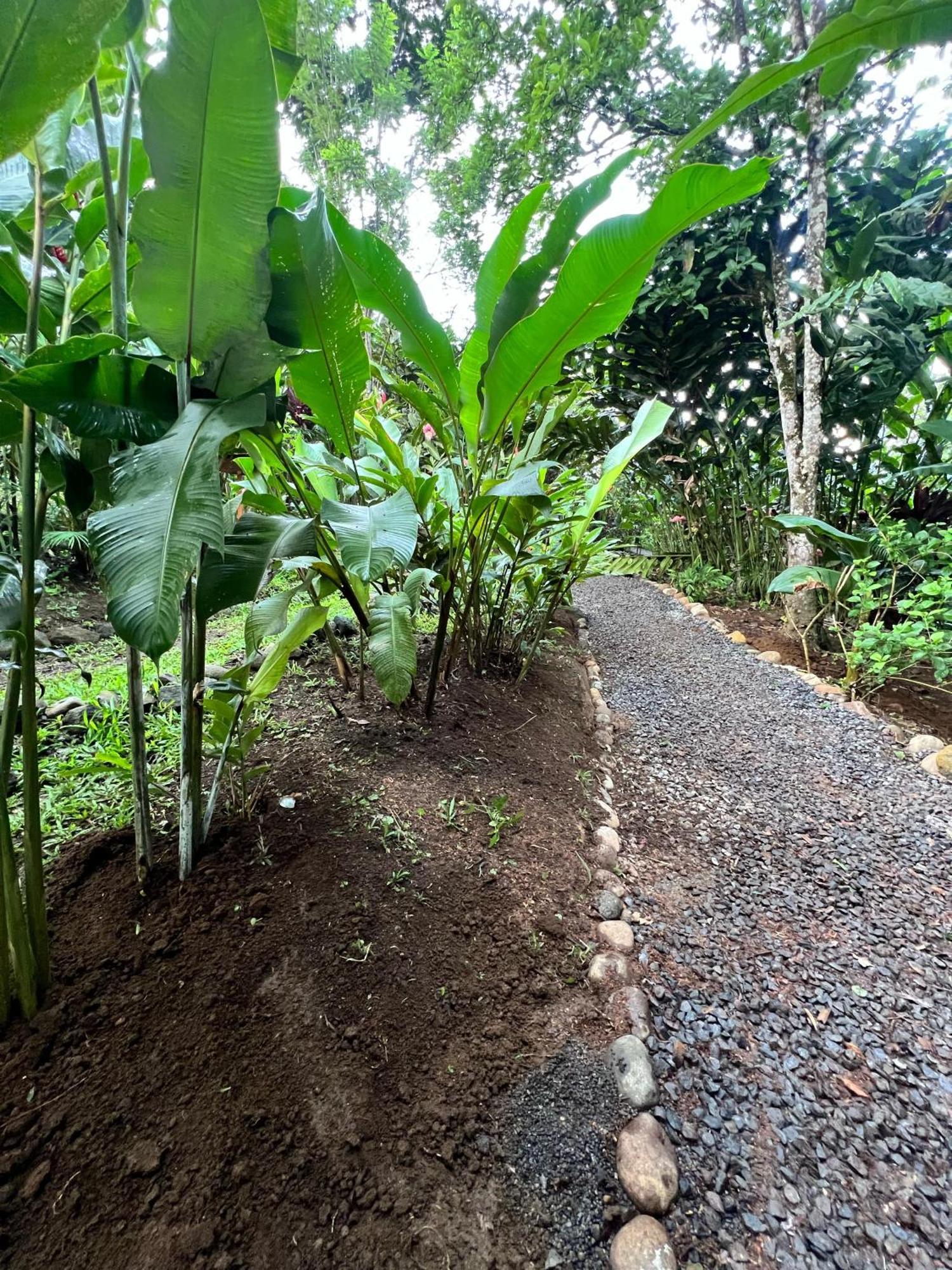 Arenal Rustic Lodge La Fortuna Esterno foto